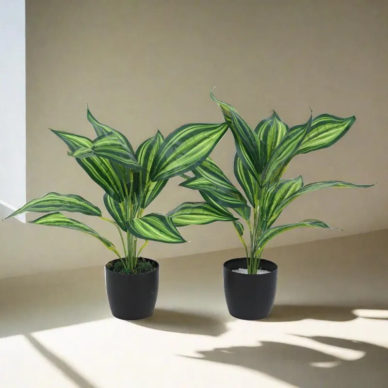 Faux Leopard Lily Plant With Black Plastic Pot (50 cms) - Set Of Two media 3