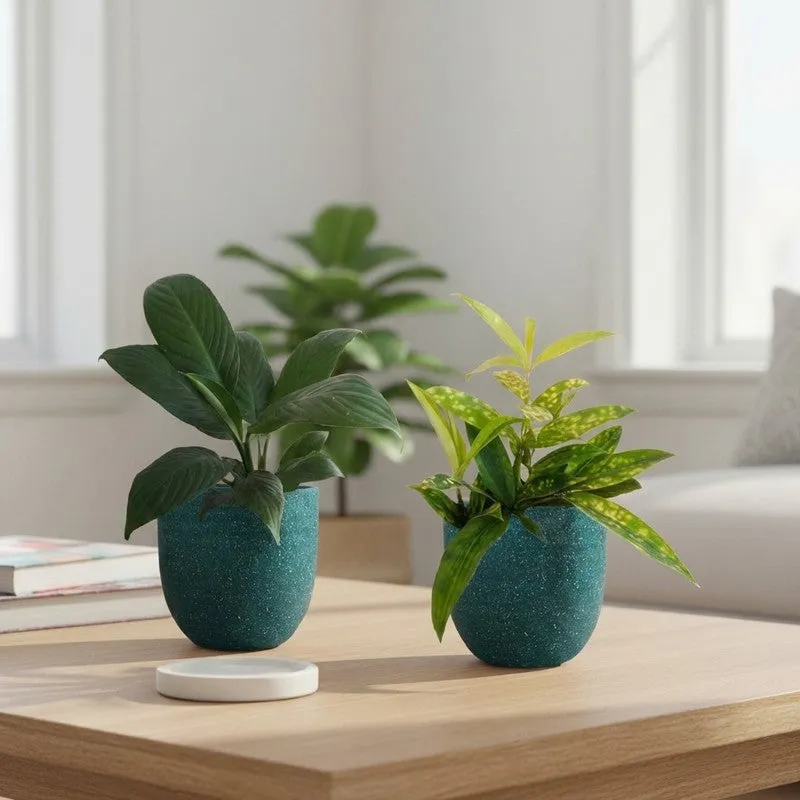 Greenkin Bamboo & Lily Live Plants (Green) - Set Of Two media 1