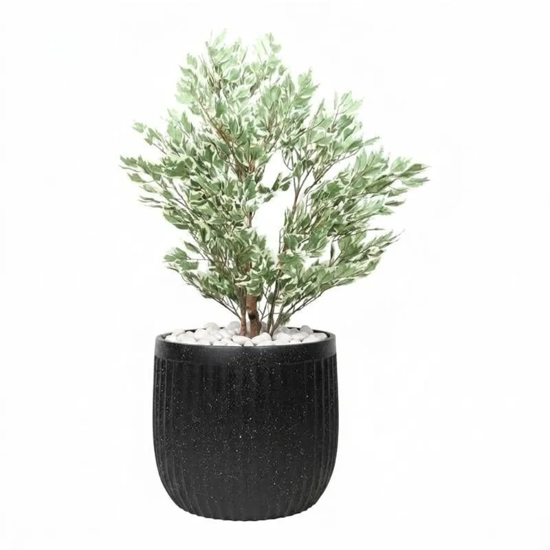 Black planter with a leafy plant shown against a white background