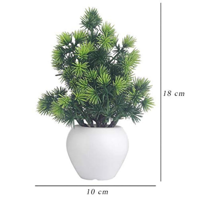 Veveri Faux Plant In Apple Pot - 15 cms media 4
