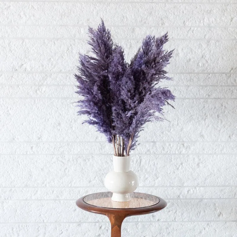 Sittora Pampas Stick (Lavender) - Set Of Ten media 3