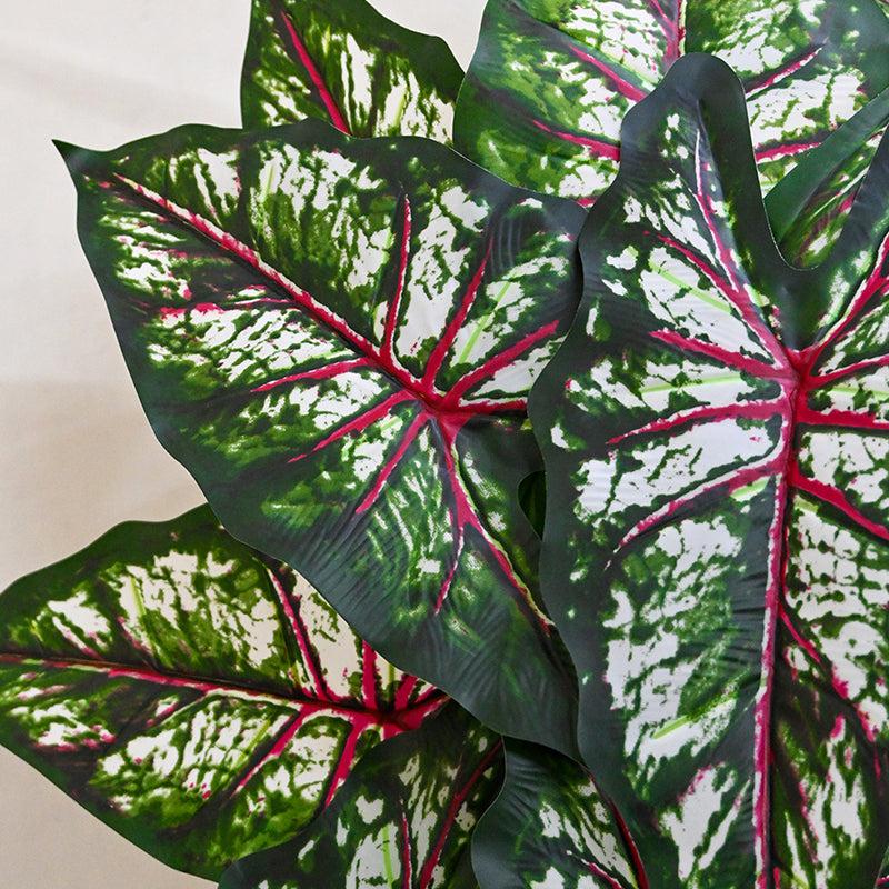 Faux Everlasting Tropical Caladium Plant With Black Plastic Pot - 79 cm (2.6 ft) media 4