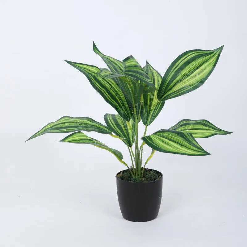 Faux Leopard Lily Plant With Black Plastic Pot (50 cms) - Set Of Two media 5