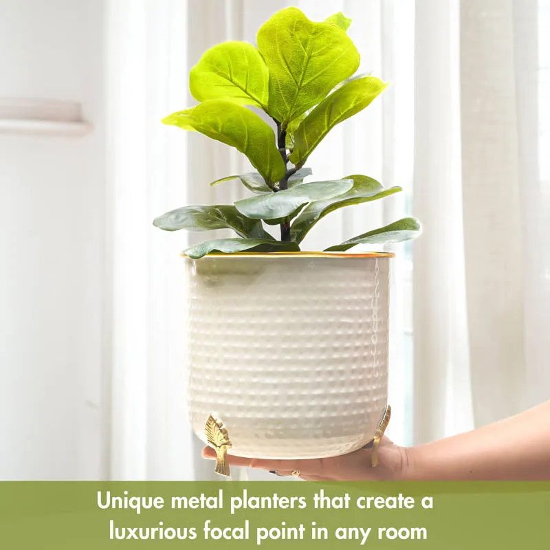 Aurea Metal Hammered Gold Rim Leaf Leg Planter - White media 5