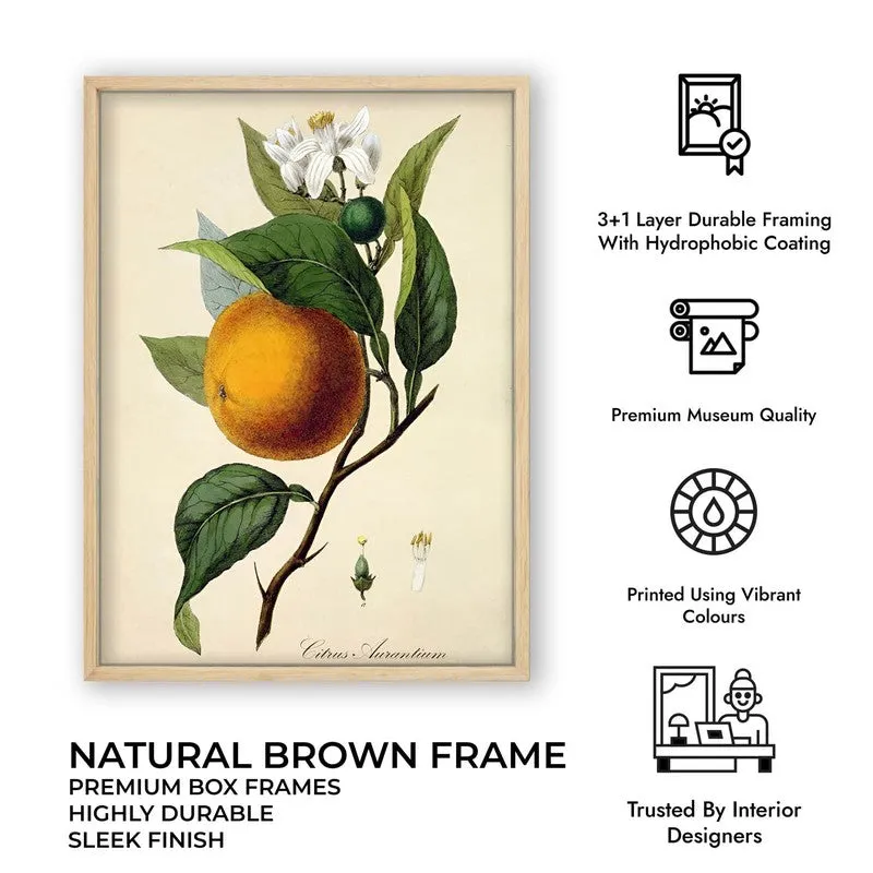 Tropical Zest Archival Canvas Wall Art - Brown media 12