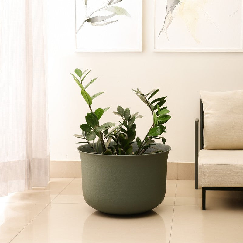 Olive Whisper Iron Planter - Large