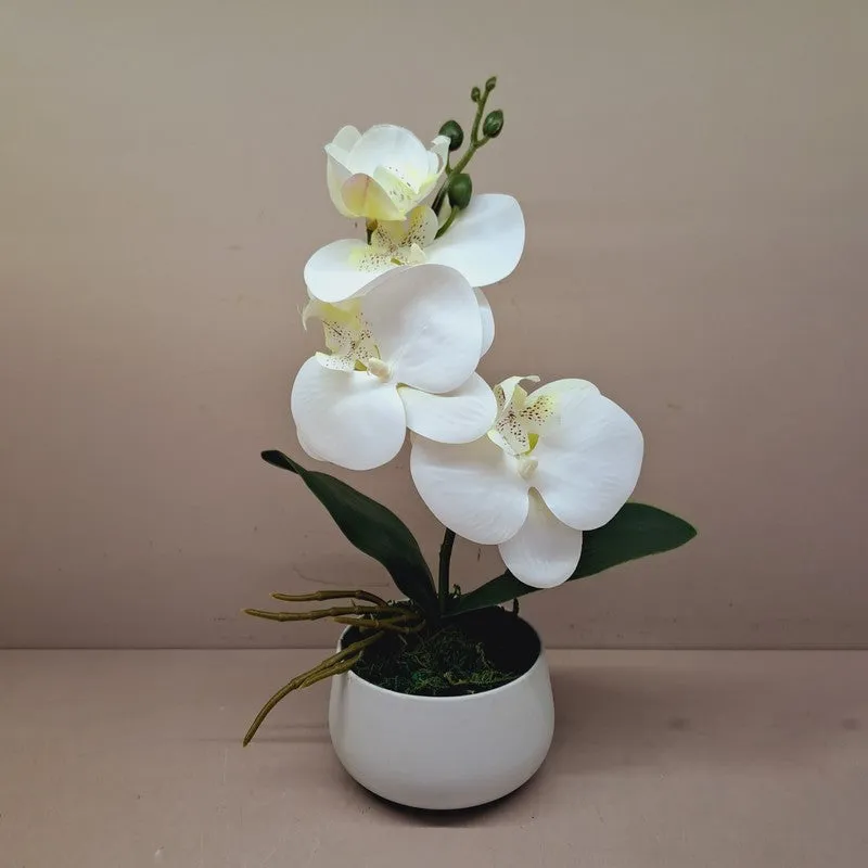 Premium Artificial Orchid Flower Bunch - White media 3