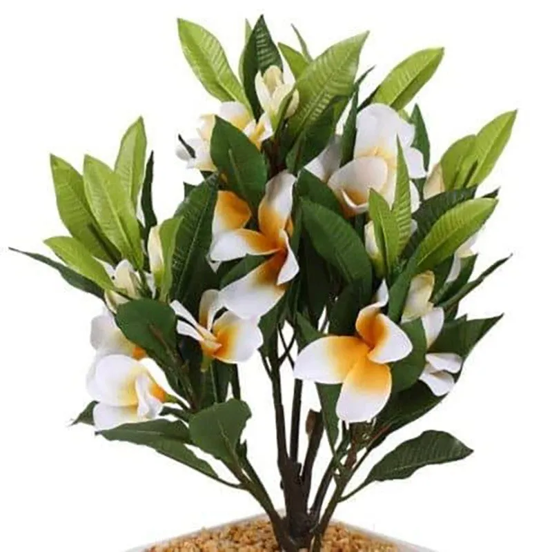 Faux Frangipani Bonsai (30 cms) - White media 3
