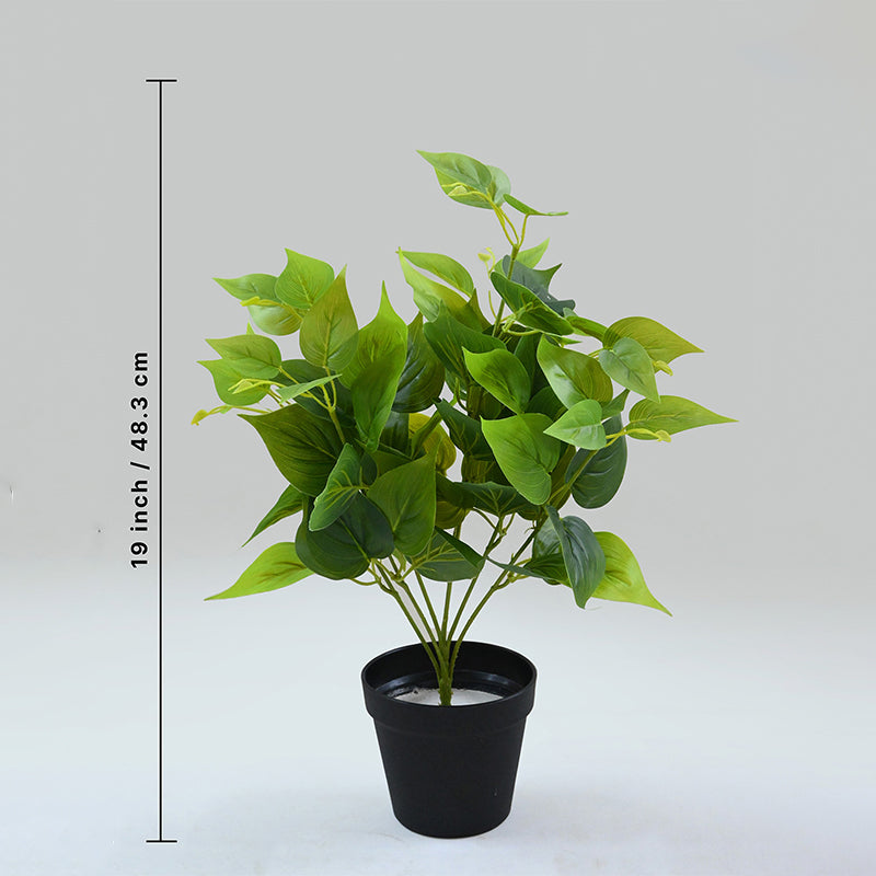 Faux Everlasting Jade Pothos Plant With Black Plastic Pot - 48 cm media 5