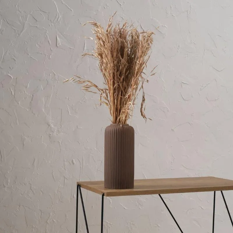 Hazo Millet Grass Dried Havana Grass Bunch - Brown media 3