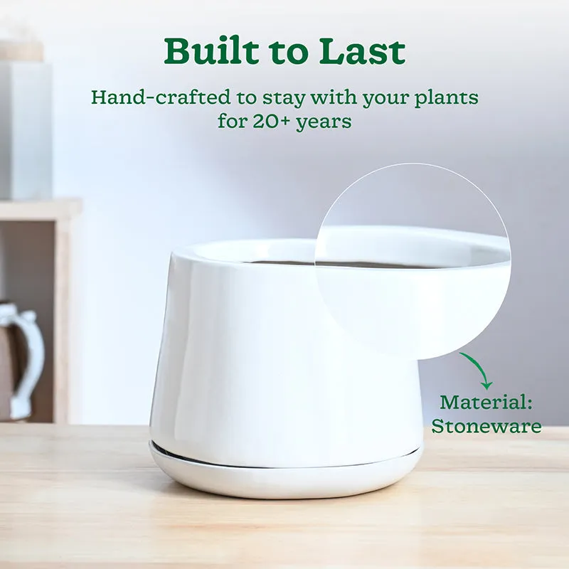 Ugaoo Captain Clay Ceramic Planter - White & Green media 3