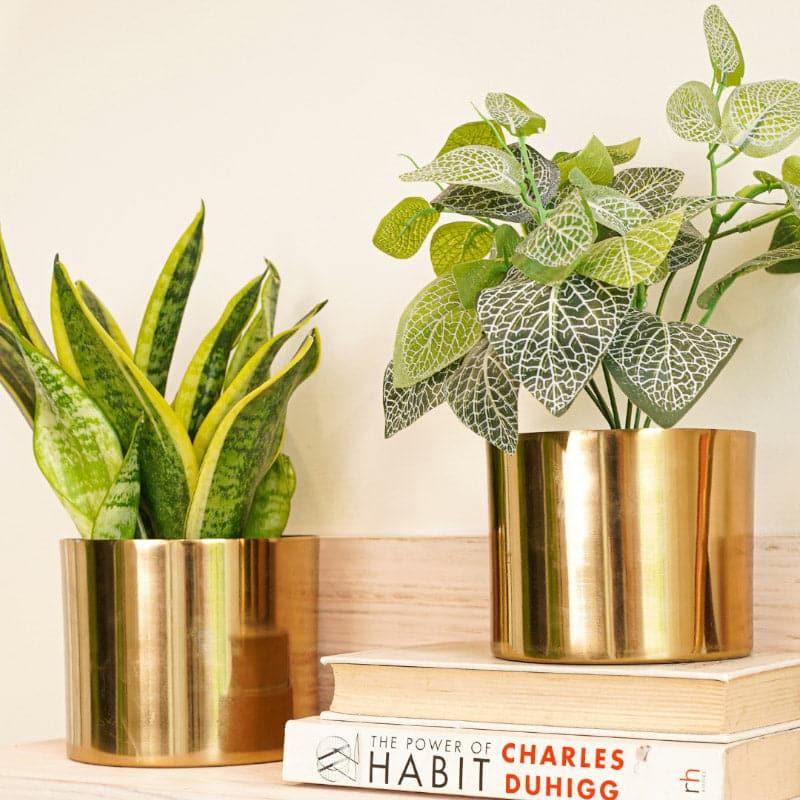 Brida Metal Planter - Set Of Two media 4