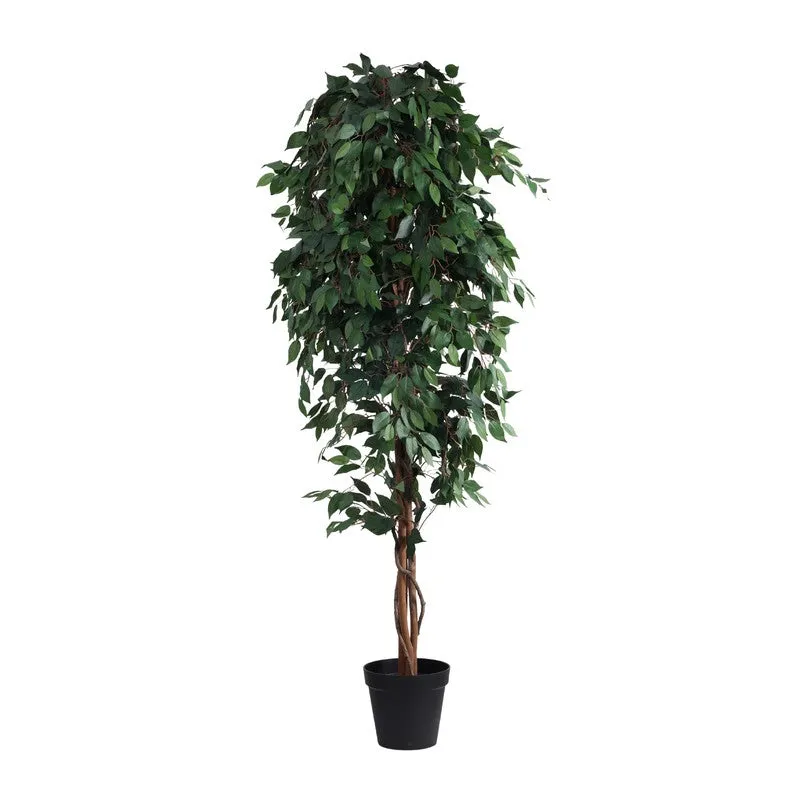 Artificial Green Ficus Plant With Black Plastic Pot - 7 ft media 3