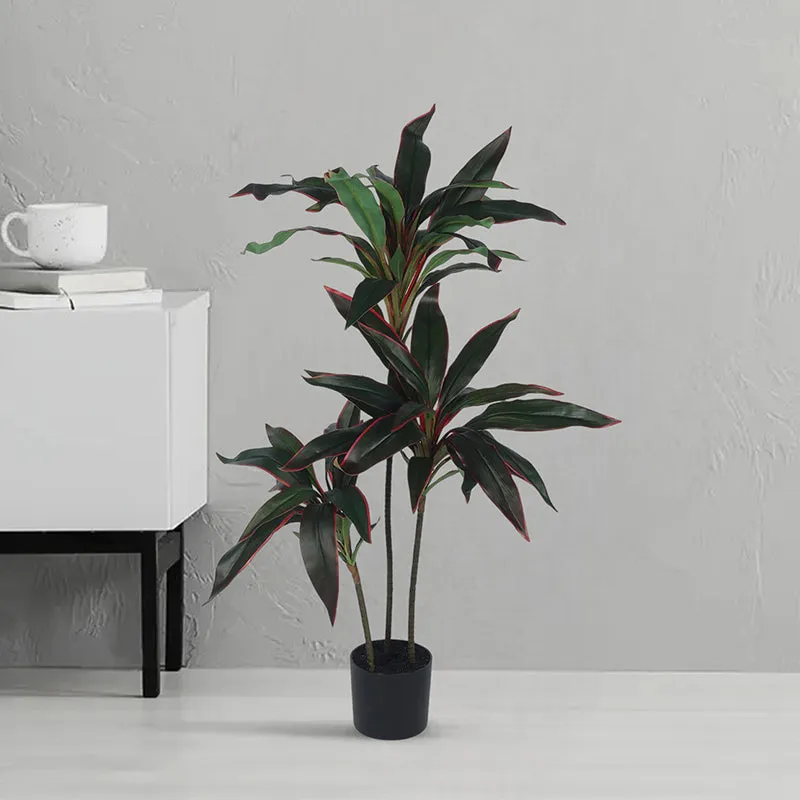 Edora Artificial Dracaena With Black Plastic Pot - 4 Feet media 3