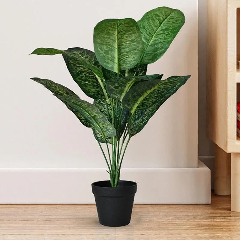Faux Everlasting Dieffenbachia Plant With Black Plastic Pot - 63 cm (2.1 ft) media 3