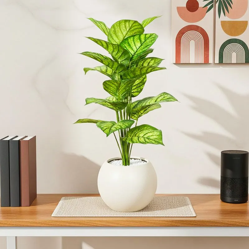 Calena Artificial Caladium With Black Plastic Pot - Green media 1