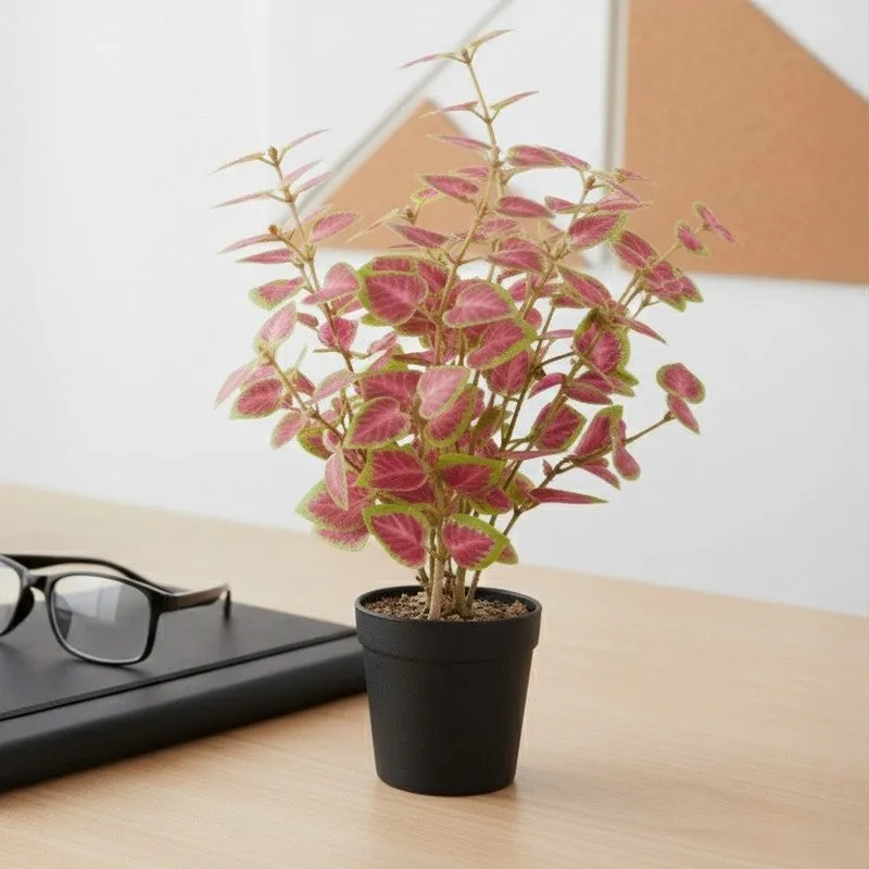Artificial Coleous Plant With Black Fiber Pot (Pink) - 1 Feet media 5