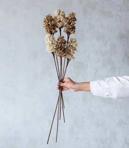 Dried Flowers & Leaves