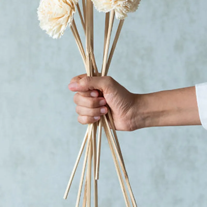 Hand holding the natural stems of white sola flower sticks