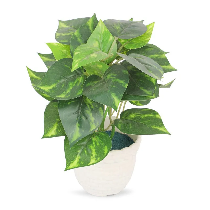 Neonix Syngonium Artificial Plant With Plastic Pot - 0.8 Feet media 5