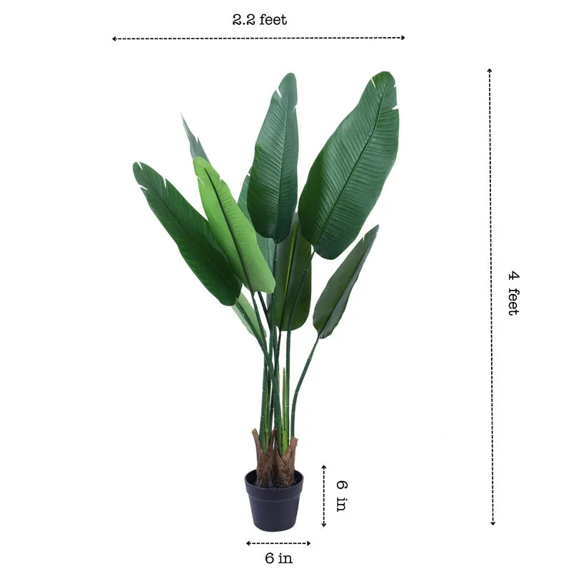 Artificial Banana Tree With Black Plastic Pot - 3.9 Feet media 8