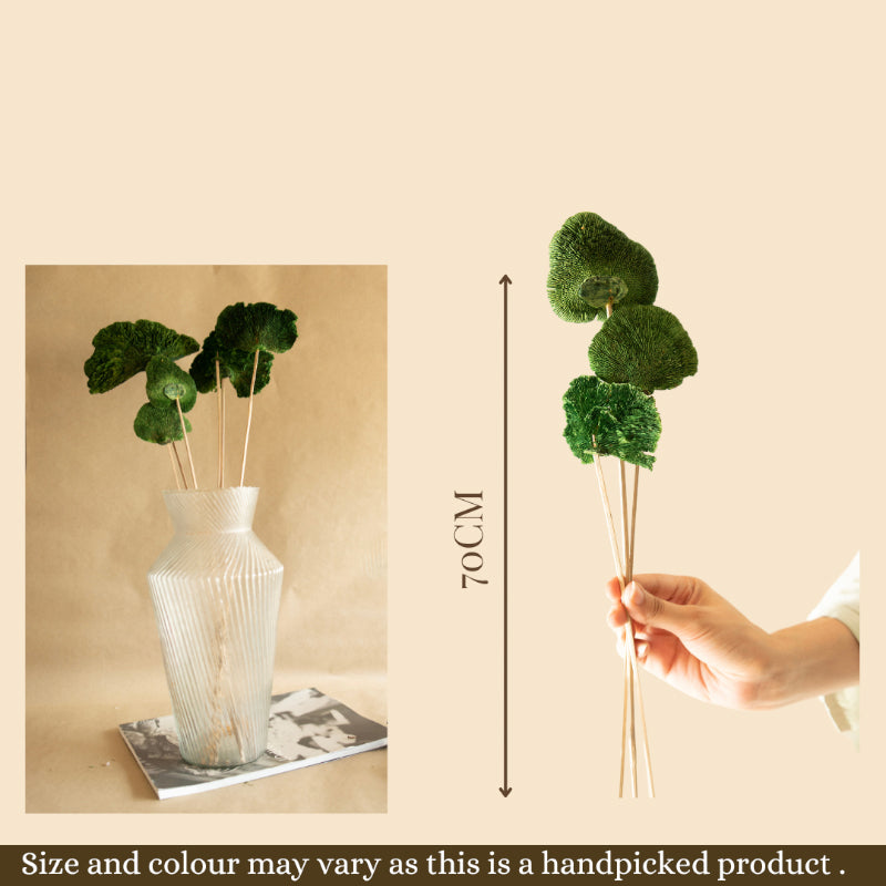 Sponge Mushroom Bunch (Green)  - Set Of Five media 4