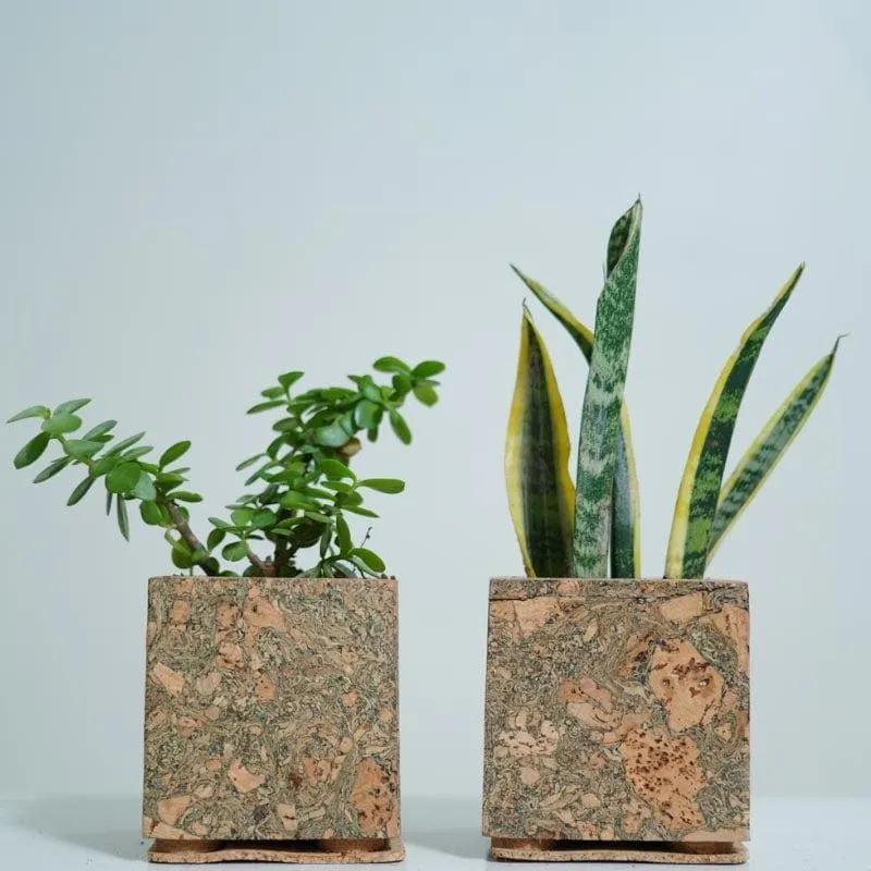 Corky Serenity Planter media 5