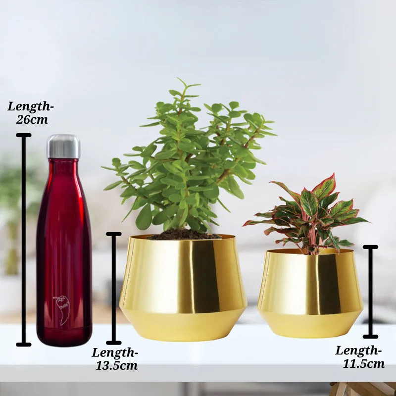 Arrota Gold Planter  - Set Of Two media 3