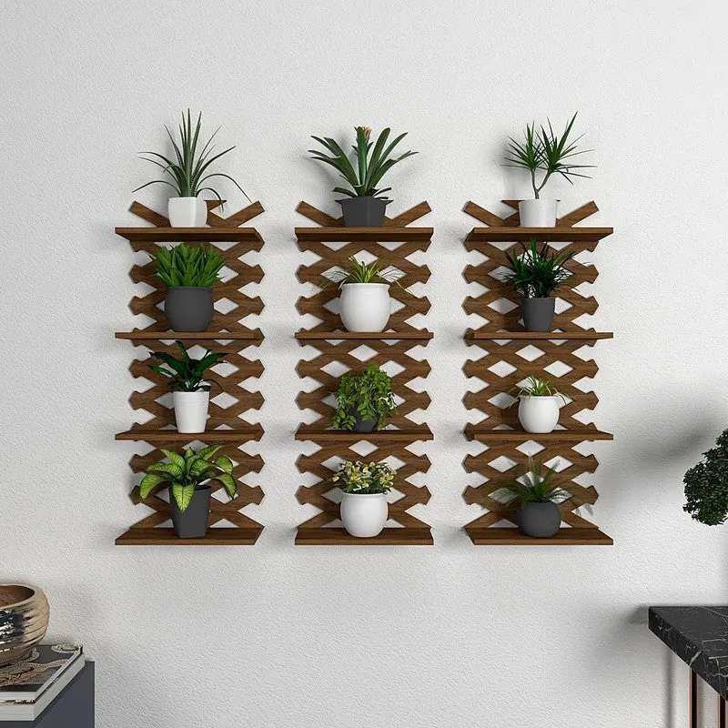 Vivo Stack (MDF,Wood) Shelves - Set Of Three media 1
