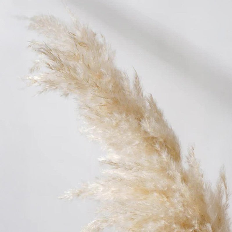 Savannah Artificial Pampas Stem (Off White) - Set Of Four media 7