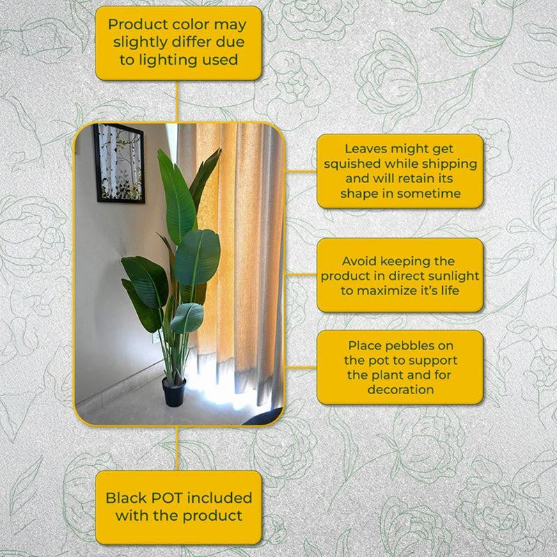 Tropibana Artificial Bird Of Paradise With Black Plastic Pot - 157 cm (5.2 ft) media 4