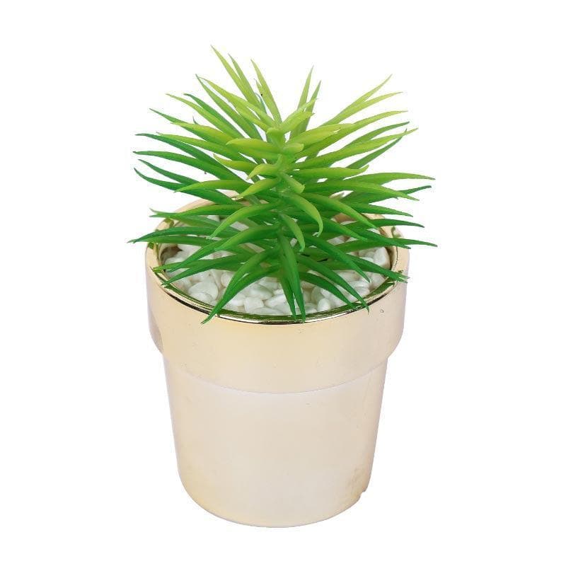 Faux Haworthia In Ceramic Pot - 14 cms media 3