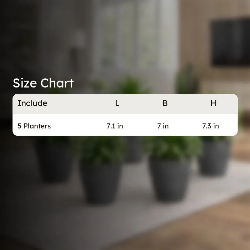 Velora Planters (Grey) - Set Of Five media 8