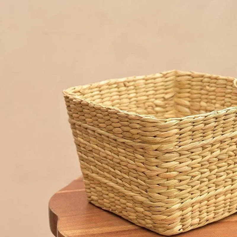 Ugaoo Seagrass Seagrass Planter - 21 CM media 4