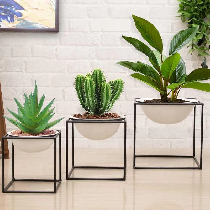 Purely Posh Planter - Set Of Three media 1