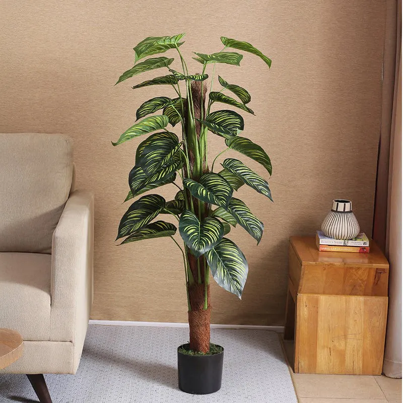 Faux Pola Calatheas Plant With Black Plastic Pot - 2.95 ft media 3