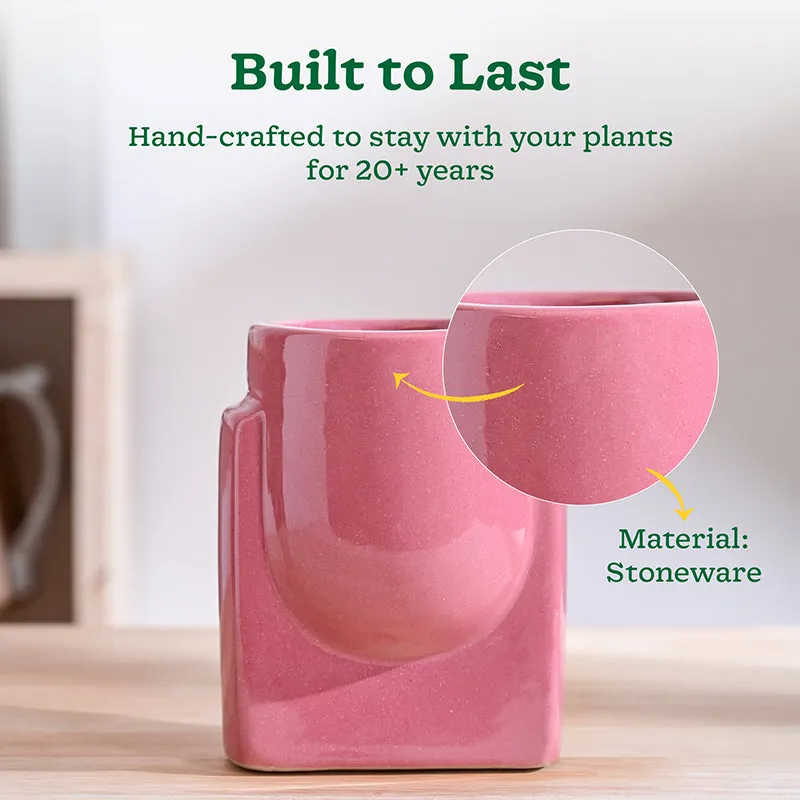 Ugaoo Minimalica Ceramic Planter - Pink media 3