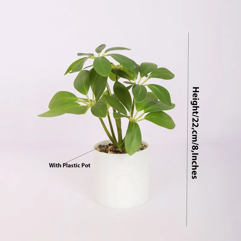 Artificial Schefflera Plants With Pot - Green media 5