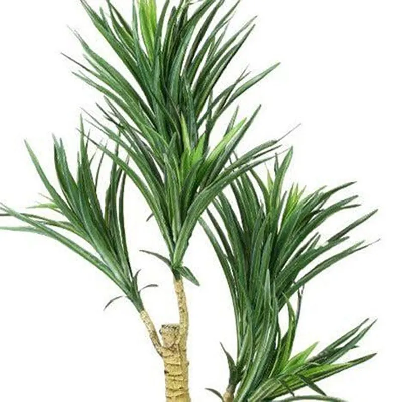 Faux Yucca Bonsai In Bowl Pot - 60 cms media 3