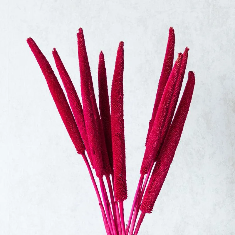 Sival Dried Millet Stick (Red & Pink) - Set Of Ten media 3