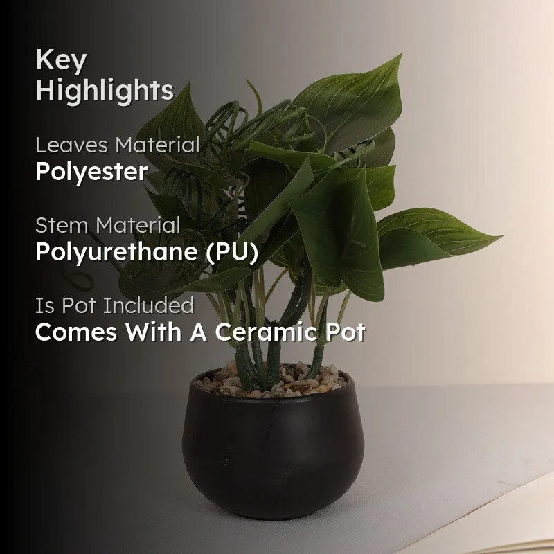 Feng Shui Artificial Money Plant With Pot media 2