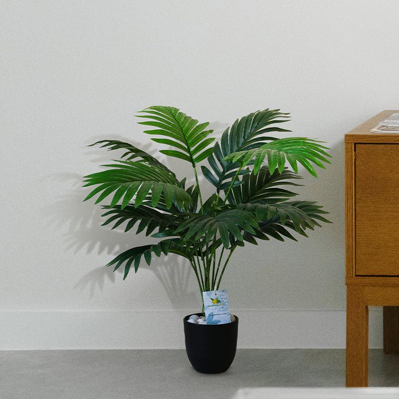 Faux Everlasting Areca Palm Plant With Black Plastic Pot - 58 Cms media 3