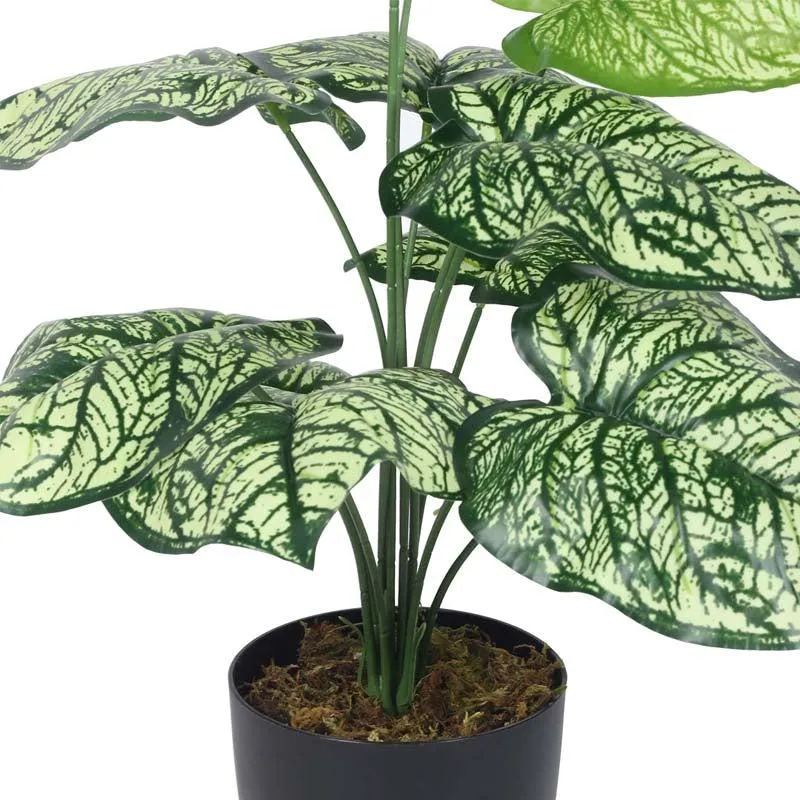 Faux Lush Light Green Monstera Plant With Black Plastic Pot - 1.8 Feet media 5