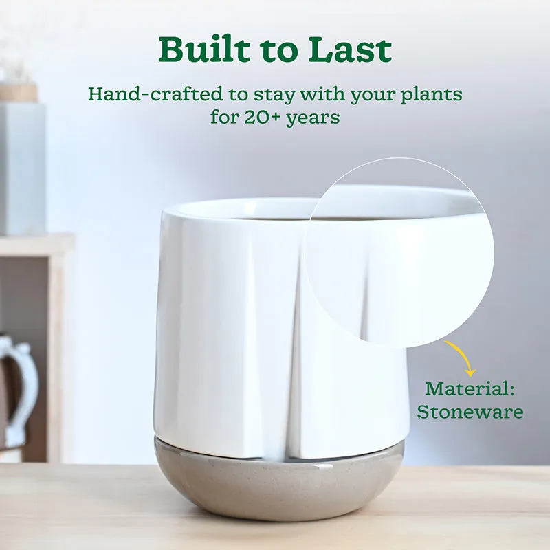 Ugaoo Duke of Drainage Ceramic Planter - White media 3