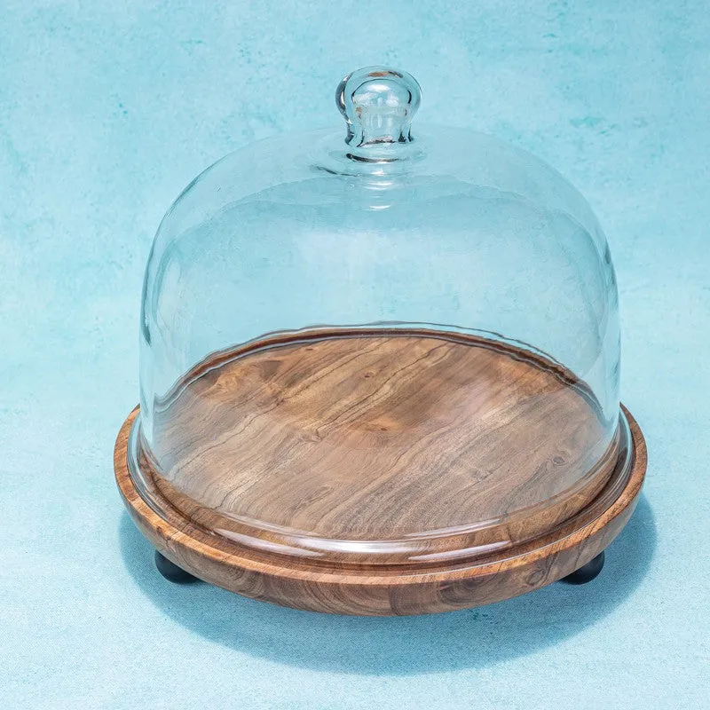 Duga Cake Stand With Dome media 4