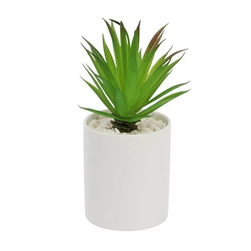 Faux Agave In Decorative Pot - 21.5 cms media 3