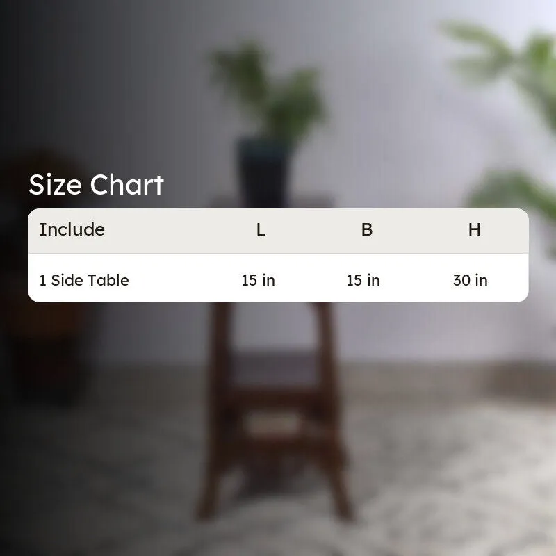Sphinx Teak Wood Side Table media 9