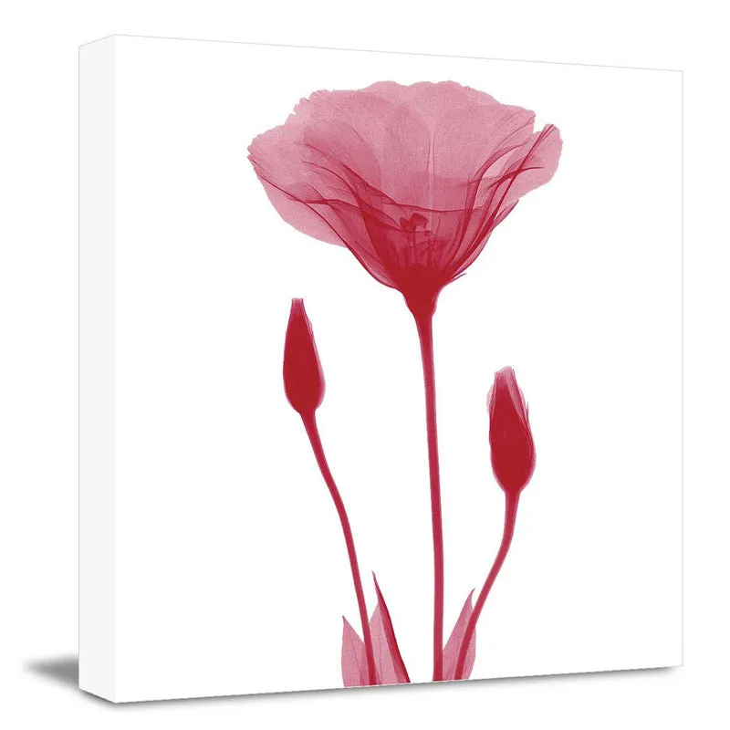 Holbrook Floral Wall Art media 3