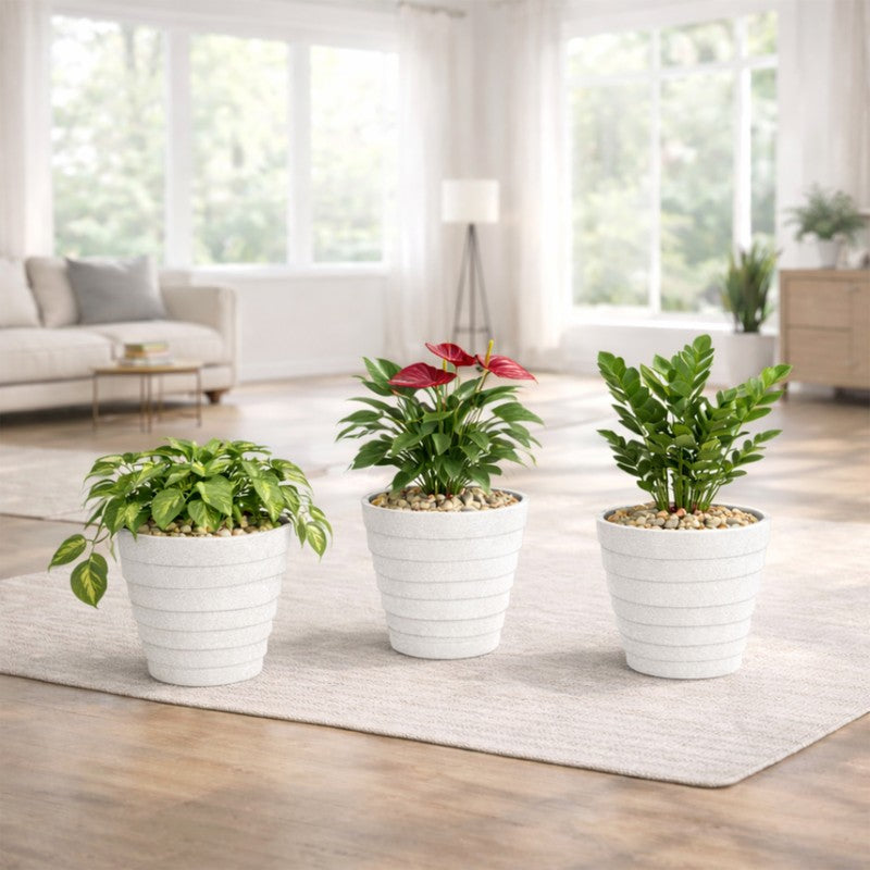 Juniper Planters (White) - Set Of Three media 4