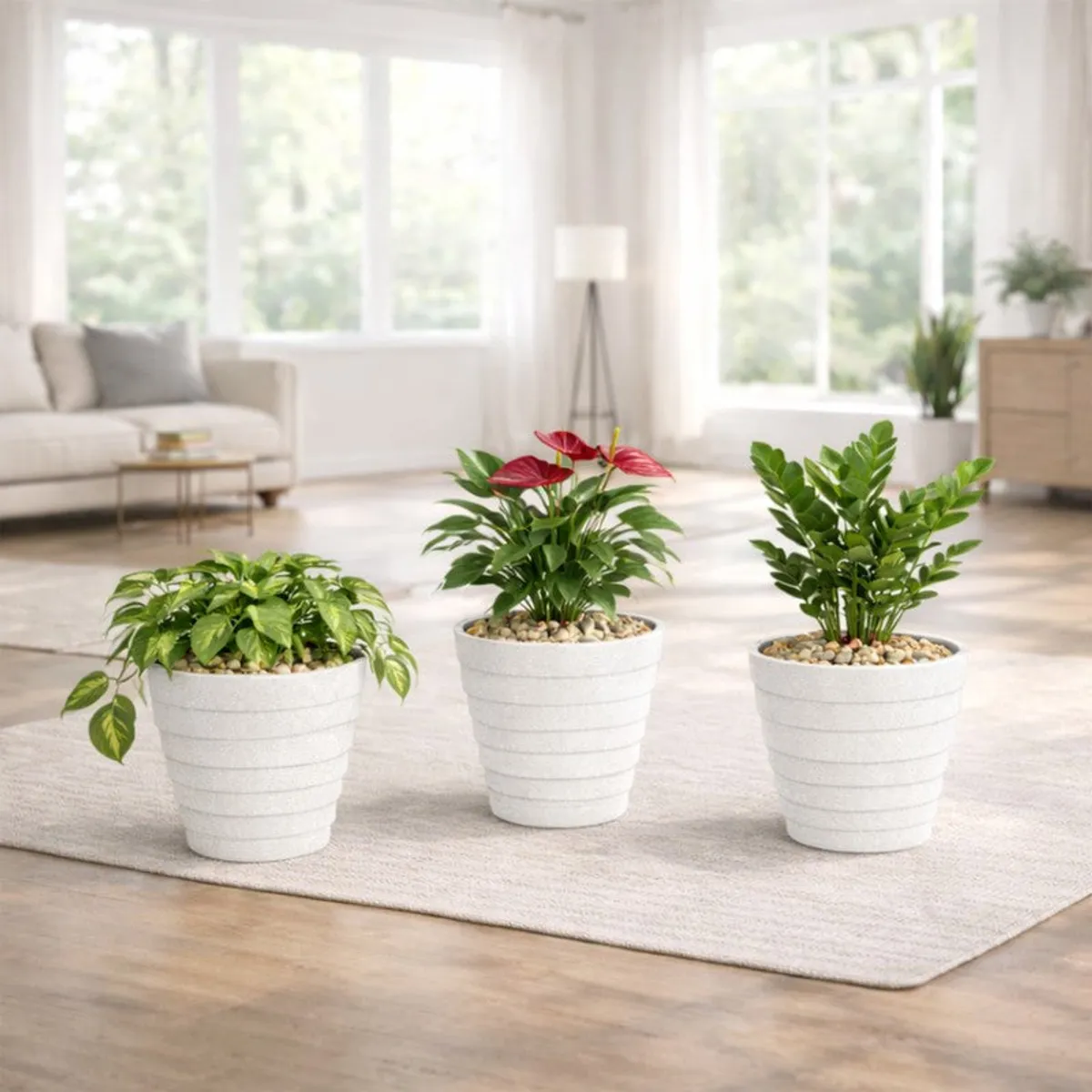 Three white planters displayed with leafy plants in a bright living room